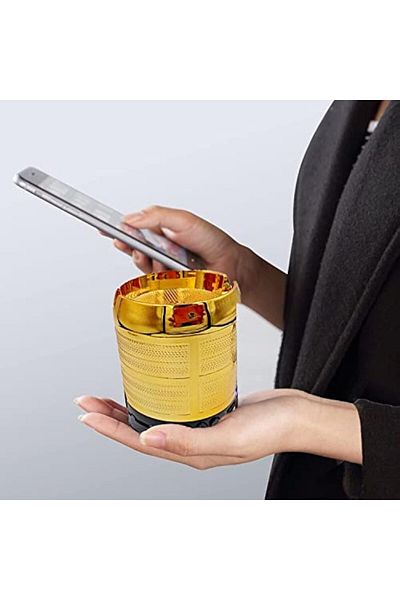 erorex راديو بحجم الجيب مع مكبر صوت بلوتوث مدمج ومشغل موسيقى USB وشاحن هاتف ومصباح LED عالي الطاقة