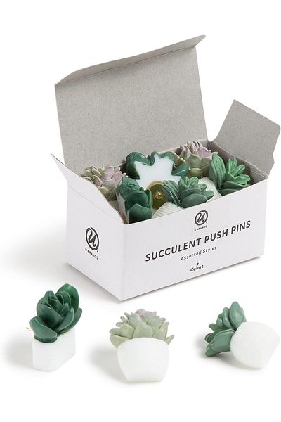 erorex Succulent Push Pins Set Office Supplies Three Assorted Styles 9 Count