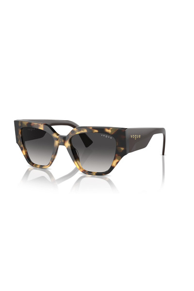 Vogue Sunglasses Vo5409S 52 26058g