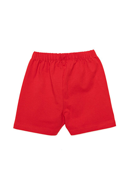 ebebek Hello Baby HelloBaby Basic  Şort Kız Bebek