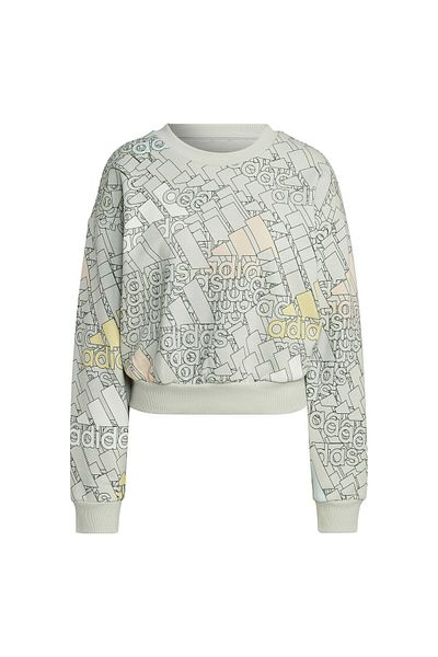 adidas ADIDAS women's sweatshirt W BLUV Q3 SWT G - HL4413