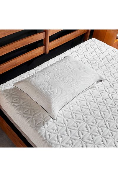 erorex Protect Pillow Protector Queen