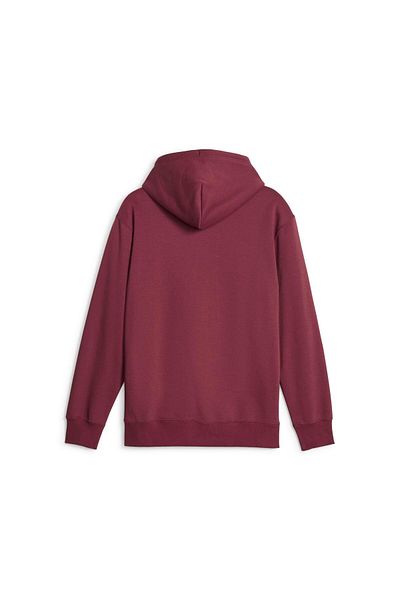 Puma PUMA men's TEAM HOODIE FL sweatshirt - 62520622