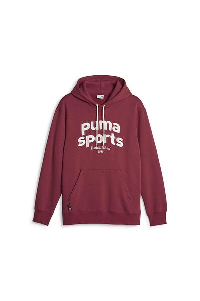 Puma PUMA men's TEAM HOODIE FL sweatshirt - 62520622
