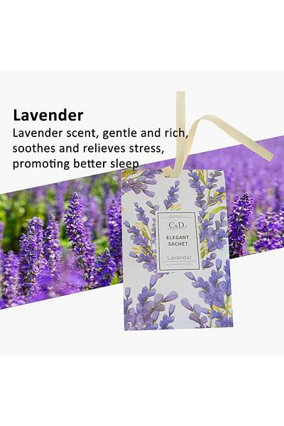 erorex Scent Sachets Hanging Lasting Air Freshener For Wardrobes And Cars Décor 20G Lavander