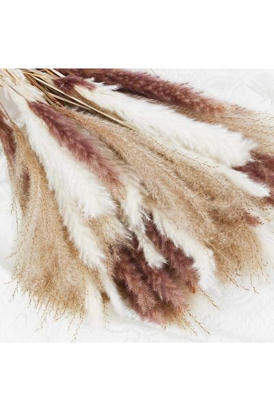 erorex Natural Dried Pampas Grass Bouquet : Brown White Reed Pampas Floral Arrangements Decorations For