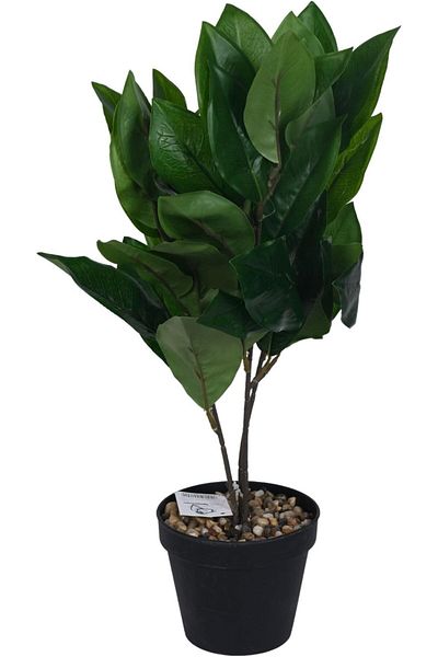erorex Artificial Rubber Tree 45Cm Green