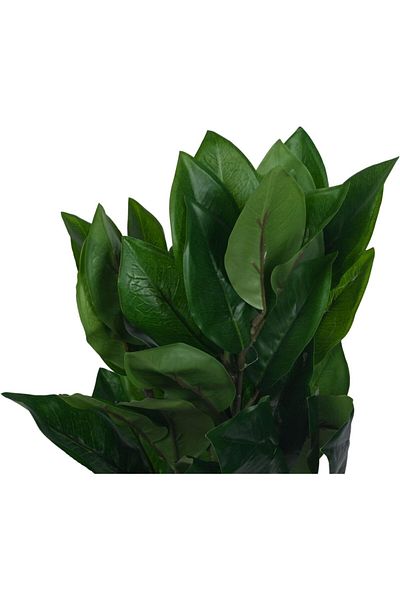 erorex Artificial Rubber Tree 45Cm Green