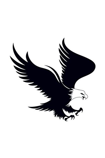 Sticksy Kartal Atak Dekoratif Çok Amaçlı Oto Sticker 25x25 cm.