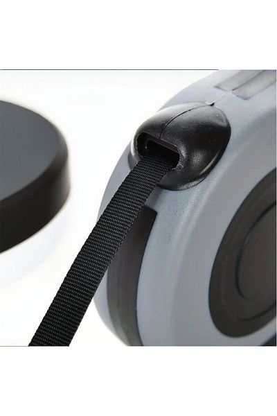 Lady Fify Double-Keys and Retractable Leash for Dog
