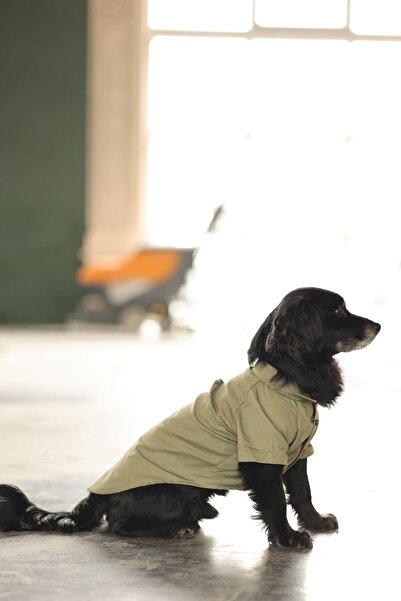 Peti Tailor Büyük Irk Haki Gömlek Collar