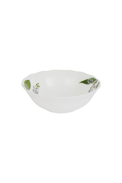 DELCASA 12 Piece Botanical Bliss Opalware Dinner Set- DC3303