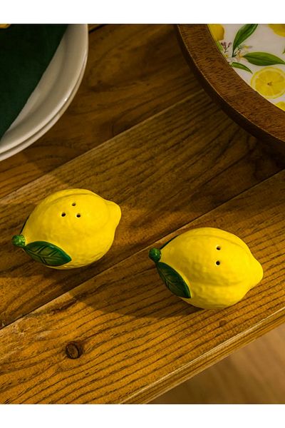 LC Waikiki Lcw Home Yellow Lemon Figured Salt and Pepper Shakers Set