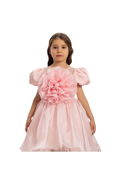 Pamina Pink Rose Detailed Girl's Dress Model 35109