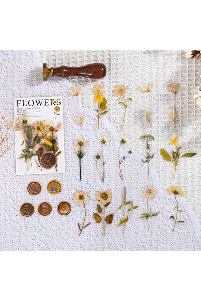 Choice3 5 40 قطعة/عبوة ملصقات عتيقة من أوراق الزهور المجففة، ديكور جمالي وإبد...