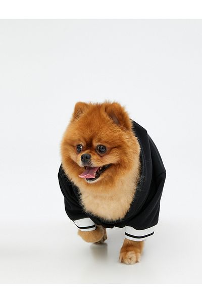 Koton Printed Dog Sweatshirt with Fleece Inside