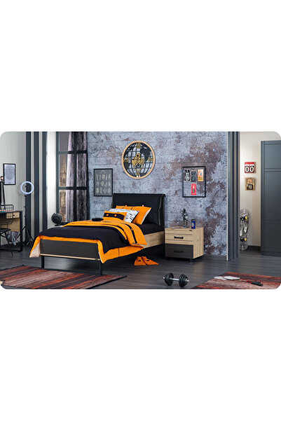 Lajivert B0SS Genç Odası (3 Kapaklı Dolap + 100*200 Karyola + Çalışma Masası)