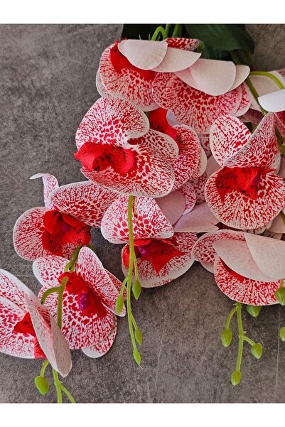 YASİMA 45cm Artificial Wet Red Orchid Decoration White Orchid Bunch