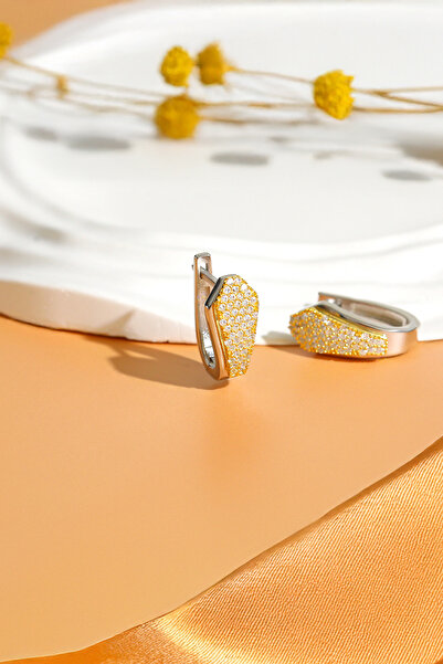 Gümüş Vadisi Kadın 925 Ayar Gümüş Zirkon Taşlı Küpe