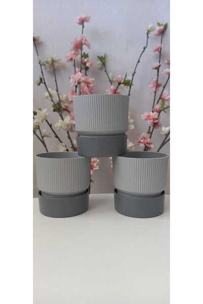 Taşkale Ucuzluk IXORA 9 CM SAKSI GENİŞLİK 9 CM YÜKSEKLİK 9 CM ( 400 ML ) 3 ADET