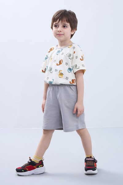 Perendi Boys Shorts Set - Dinosaur Print Short Sleeve Tee & Gray Shorts - Summer Outfit