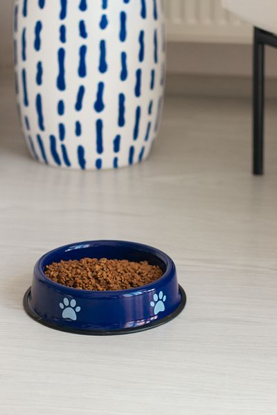 EMAYlab Enamel Cat Dog Food and Water Bowl Paw Pattern