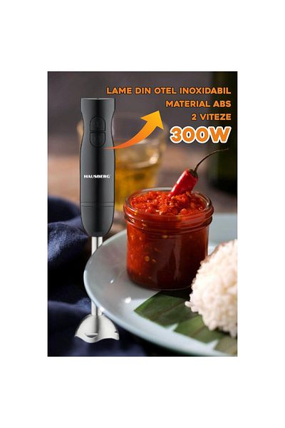 Hausberg Blender de mana HAUSBERG HB-7674NG, 300W, 2 viteze, material ABS, lame din otel inoxidabil, Negru