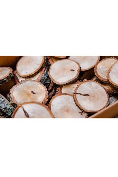 Metmobilya Meşe Ağacı Dilimi 15 Adet Odun Dilimi Bardak Altlığı 6-8 çapında