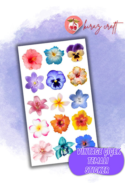 Kiraz Craft Çiçek Temalı Sticker Planner Ajanda Bullet Journal Için Uygun Set