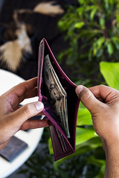 Garbalia Men's Burgundy Delhi Genuine Leather Slim Wallet with Coin Compartment