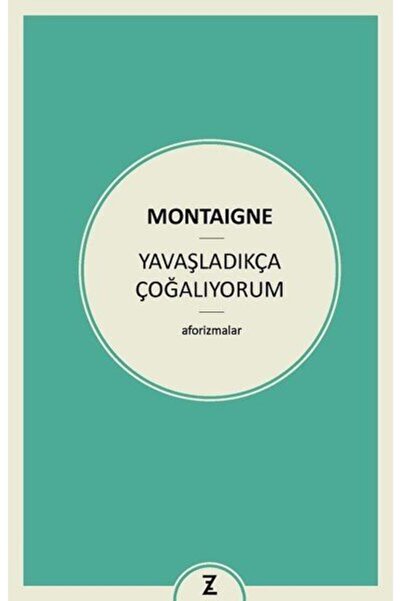 Zeplin Kitap Yavaşladıkça Çoğalıyorum /