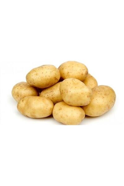 Köyüm Patates 10 Kg %100 Yerli Köy Patatesi (KIZARTMALIK VE HAŞLAMALIK)