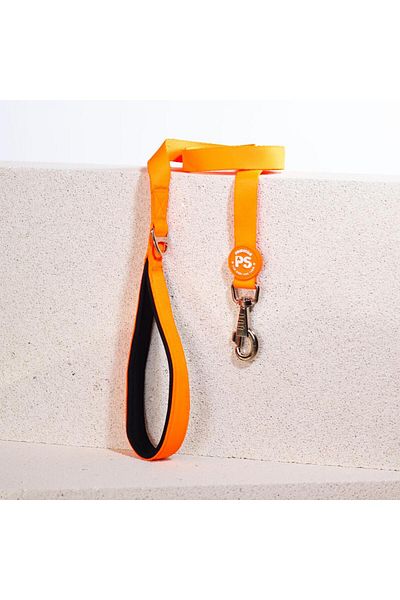 Pawstar Neon Orange Leash Cat Dog Leash & Leash Dog Extension Leash