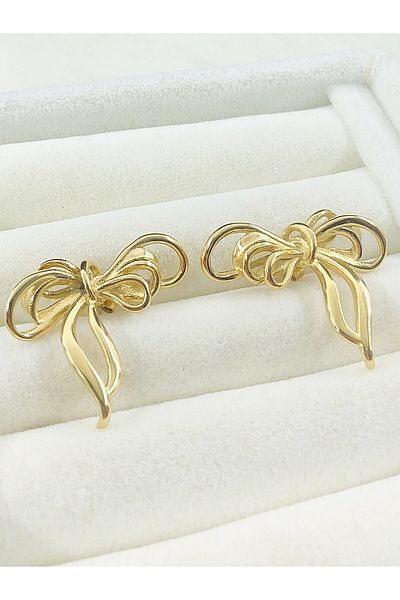 DS DİAMONDSHOP Steel Earring Ribbon Model Byçkp- 202503415