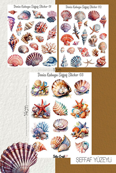 SelisCraft Deniz Kabuğu Temalı Şeffaf Sticker Seti 01 Ajanda Planlayıcı Bulle...