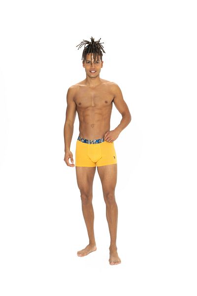U.S. Polo Assn. Men's Saks - Yellow - Navy Blue 3-Piece Boxers