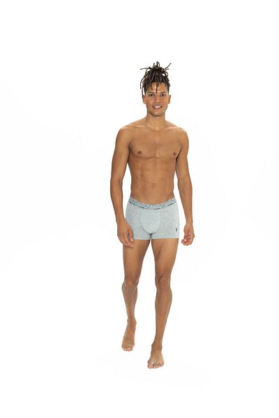 U.S. Polo Assn. 3 Pack, Cotton, Men's Boxer Set, Black & Navy & Gray