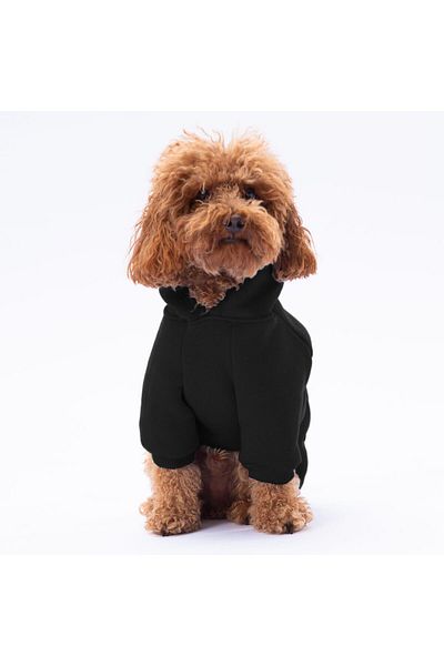 Pettrend Black Kangaroo Pocket Cat-Dog Hoodie- Sweatshirt Cat Dog Outfit