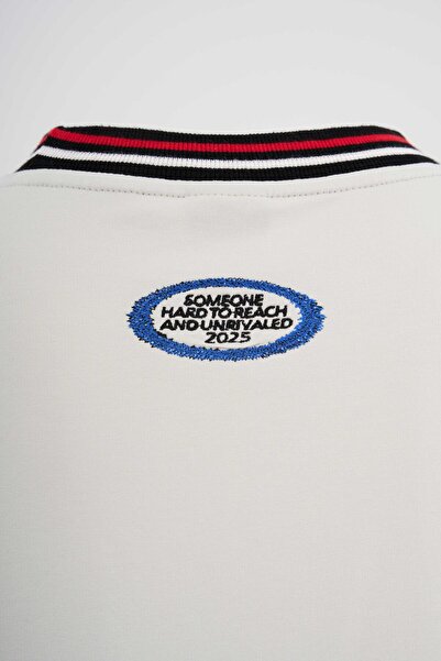 Machinist Чоловічий смугастий комір і вишитий оверсайз космічно-сірий футболка