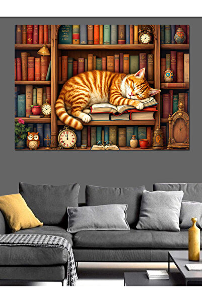 ekart Kütüphane Ve Uyuyan Kedi Dekoratif Tablo
