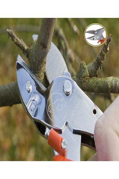 löwe Pruning Shears 5127 Point Tip Blade Inward Curved Handle Easy Cutting Scissors - Made in Germany