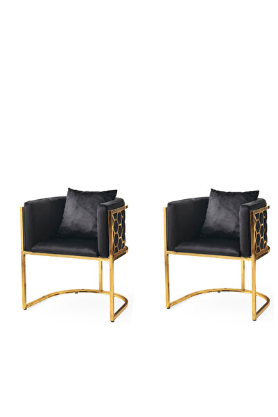 Viento Mobilya 2 Adet Kardelen Tekli Berjer Babyface Kumaş Gold Metal İskelet