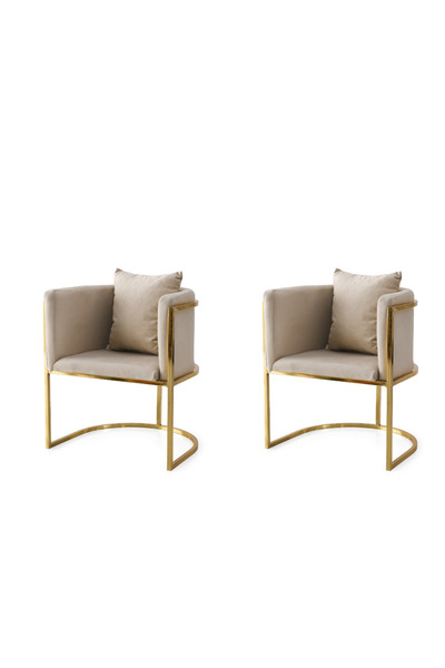Viento Mobilya 2 Adet Reyhan Gold Tekli Berjer Sandalye Babyface Kumaş