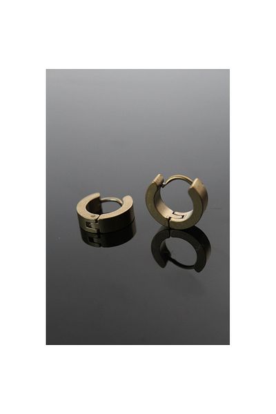 Skygo 316L Steel Gold Color Ring Model Double Earring - TJ-EKP252