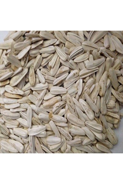 AnamurNaturel Doğal Beyaz Çerezlik Çitlemelik Ayçiçeği Çekirdek Tohumu (40 Tohum)