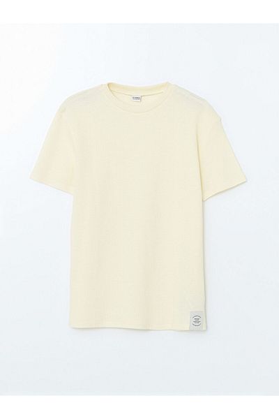 LC Waikiki Crew Neck Textured Boy's T-Shirt