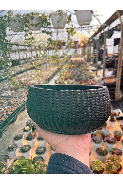 FİDEİSTE Çanak Saksı ( Beton)