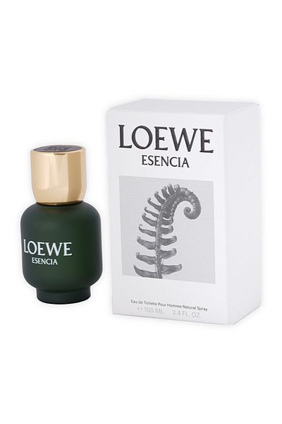 Loewe Esencia Loewe Pour Homme Perfume By Loewe EDT 100 ml