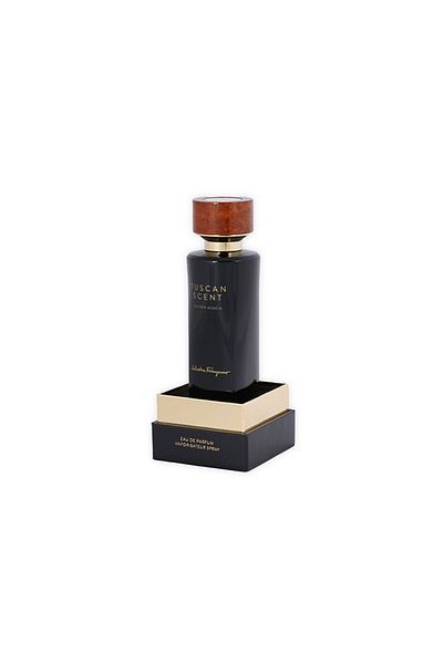 Salvatore Ferragamo Tuscan Scent Golden Acacia Perfume By Salvatore Ferragamo EDP 75 ml