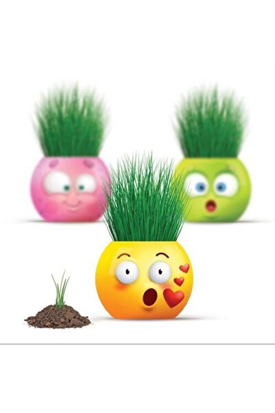 Aden Oyuncak Çim Adam Seti, Yeni Nesil Çim Adam ~ Kutusuz